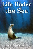 Life Under the Sea
