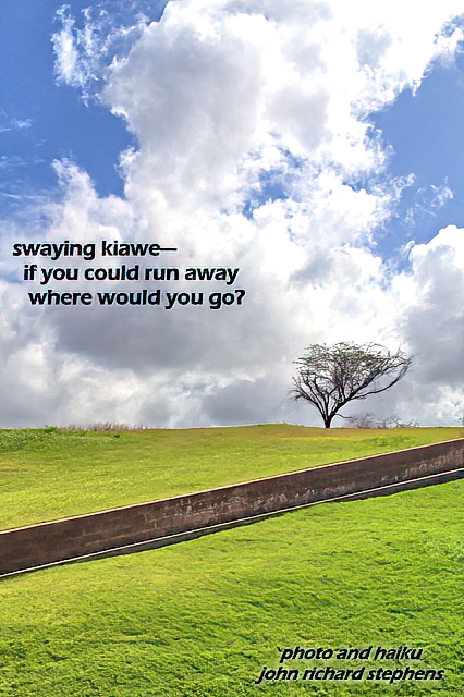 A photo haiku with a picture of windswept tree on the top of a green hill with dramatic clouds behind. A photo haiku with a picture of windswept tree on the top of a green hill with dramatic clouds behind.