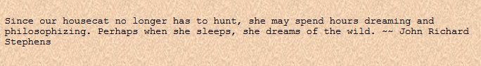 —from The Enchanted Cat —from The Enchanted Cat