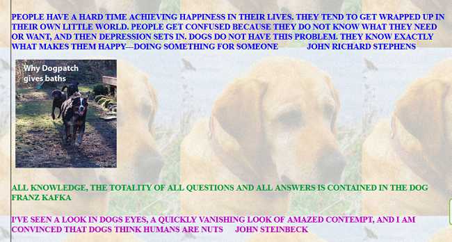 In the book Dog Quotations. In the book Dog Quotations.