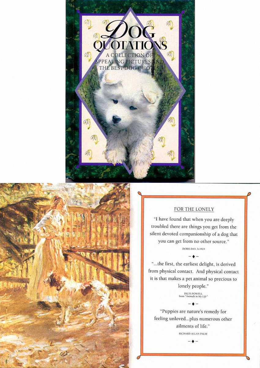 Puppies are nature's remedy for feeling unloved...plus numerous other ailments of life. Puppies are nature's remedy for feeling unloved...plus numerous other ailments of life.