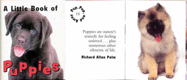 Puppies are nature's remedy for feeling unloved...plus numerous other ailments of life. Puppies are nature's remedy for feeling unloved...plus numerous other ailments of life.