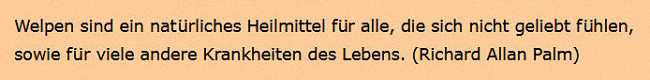 Puppies are nature's remedy for feeling unloved...plus numerous other ailments of life, (In German.) Puppies are nature's remedy for feeling unloved...plus numerous other ailments of life, (In German.)