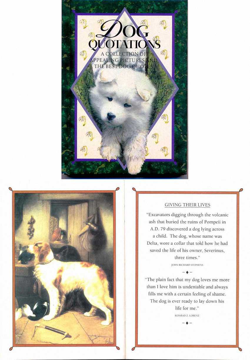 In the book Dog Quotations. In the book Dog Quotations.