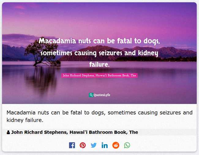 Macadamia nuts can be fatal to dogs, sometimes causing seizures and kidney failure. Macadamia nuts can be fatal to dogs, sometimes causing seizures and kidney failure.